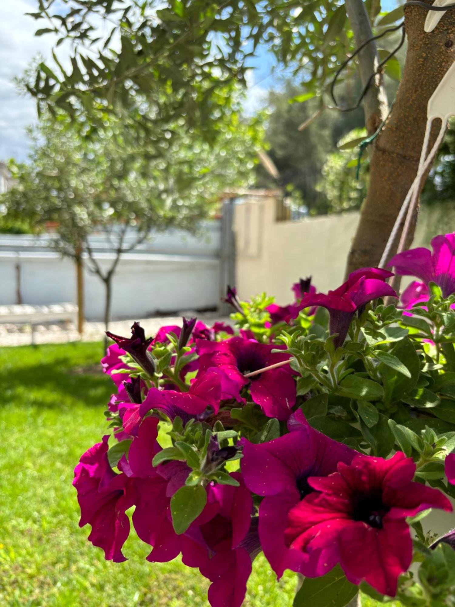 Johanna's Near The Sea - Olivia Apartment Agia Triada (Thessaloniki)